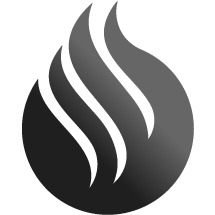 Buzz Fire Restoration