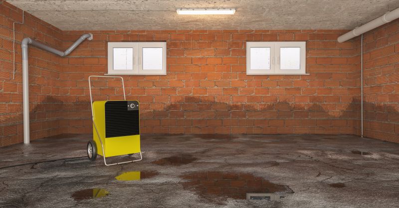 Basement Restoration Service in Phoenix, AZ