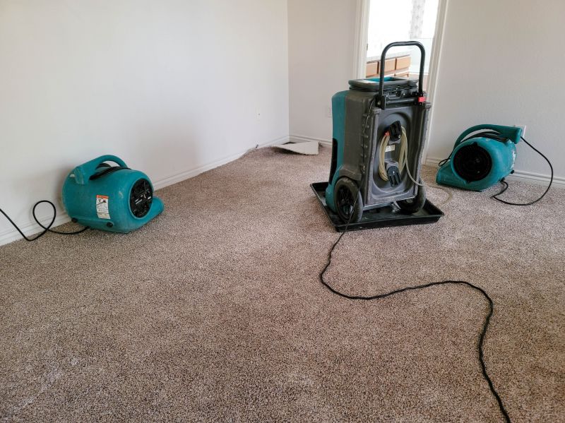 Flood Damage Repair in Mesa, AZ
