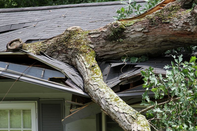 Storm Restoration Service in Phoenix, AZ