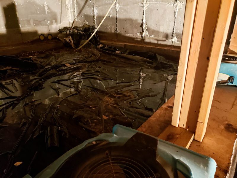 Emergency Water Removal in Gilbert, AZ